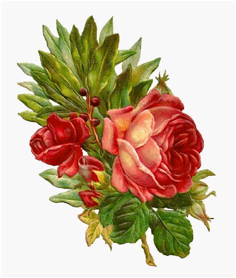 Antique Images Free Digital Flower Clip Art Of Red Rose Bouquet