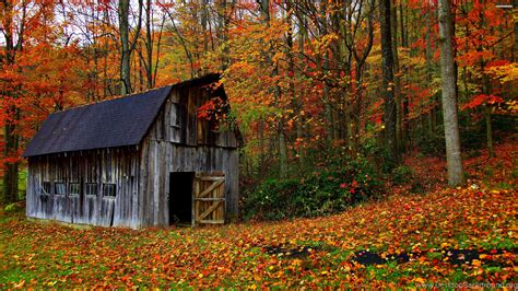 Old Barn In The Colorful Forest Wallpapers Desktop Background