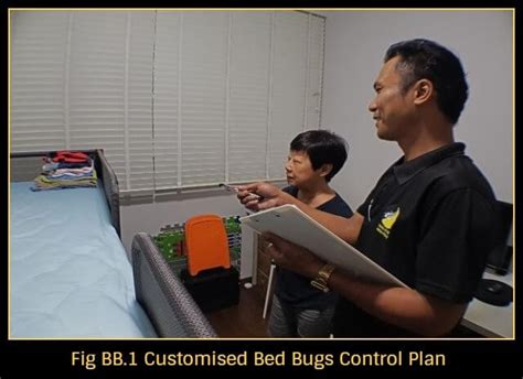 Bed Bugs Pesticon Pest Control Services Singapore
