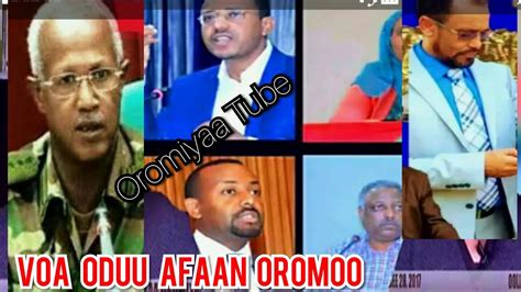 Voa Afaan Oromoo 30dec2017 Youtube