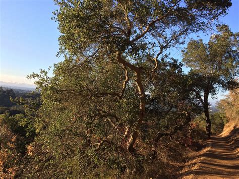 Visita Rancho San Antonio Open Space Preserve En California Expediamx