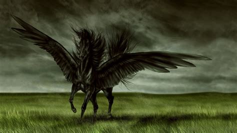 Black Pegasus Full Hd Wallpaper And Hintergrund 1920x1080 Id145309