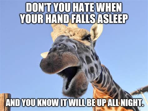 Funny Giraffe Memes And S Imgflip