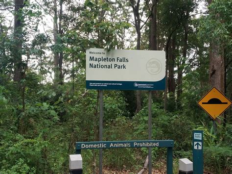 Mapleton Falls Lookout Walk Tracks View Map Mapleton National Park