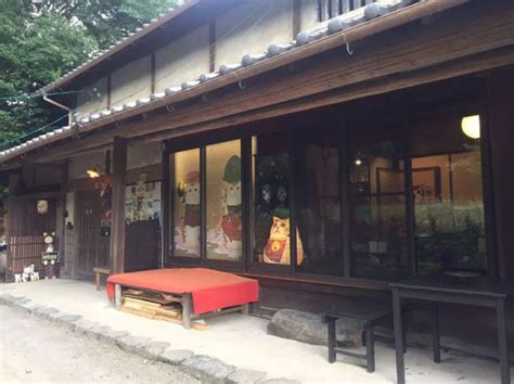 This Japanese Cat Temple Has Cat Monks And Its The Cutest Place On Ea