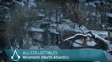 Assassin S Creed Rogue Side Memories Miramichi All Collectibles