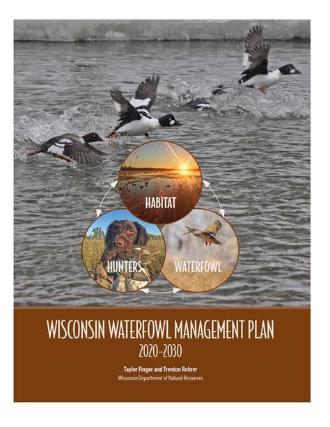 Updated Waterfowl Management Plan Now Available Wisconsin Waterfowl Association
