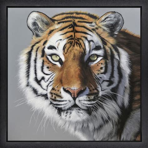 Amur Tiger Aura Fine Art