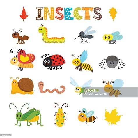 Vector Set Of Cartoon Insects Colorful Bugs Collection Stock