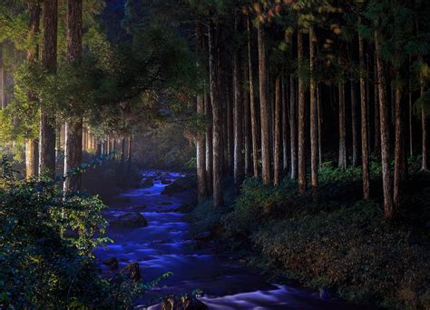 Mountain River Flows Through Dark Forest Photograph By Osaze Cuomo Pixels