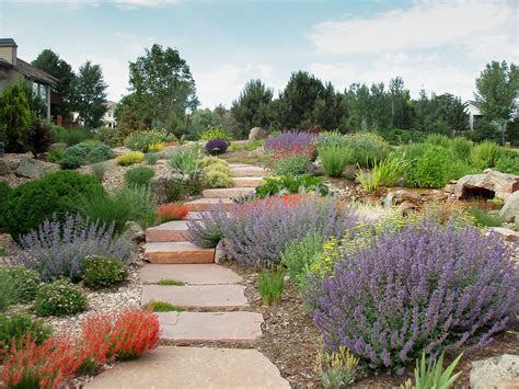 Native Colorado Plants And Flowers The Beginner S Guide To Xeriscape
