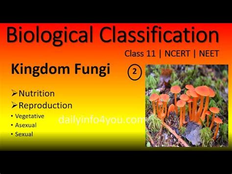 Biological Classification Fungi Nutrition And Reproduction Ncert