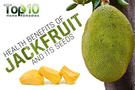 What Makes Jackfruit Good For You Health Benefits And Nutritional Facts