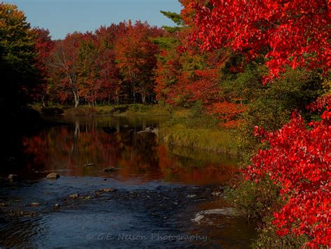 46 Maine Fall Foliage Wallpaper On Wallpapersafari