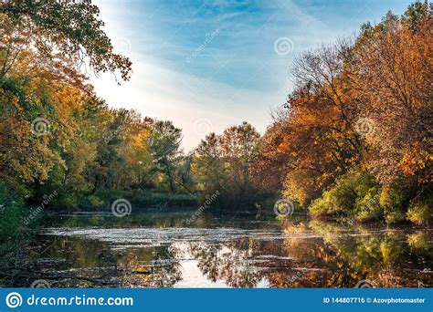 Autumn Landscape Trees With Yellow Leaves Along The River And