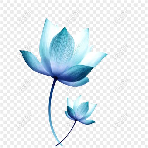 Blue Lotus Flower Clip Art