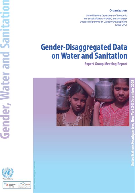 Gender Disaggregated Data On Water And Sanitation Expert Group Meeting