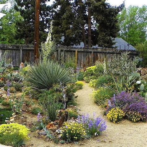 A Spectacular Customer Garden In Utah ☀️ High Country Gardens