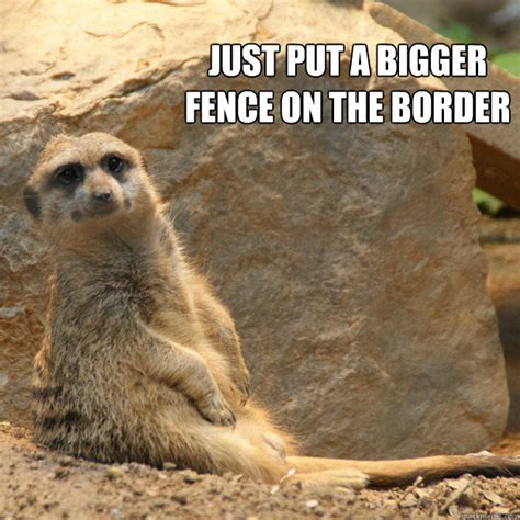 Just Put A Bigger Fence On The Border Oversimplification Meerkat