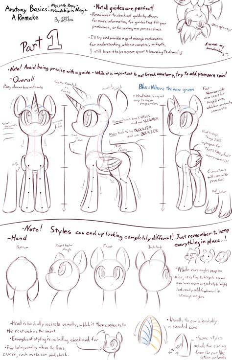 Mlp Basic Anatomy Guide Part 1 Overall Head By Dshou On Deviantart
