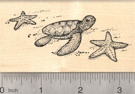 Sea Turtle Rubber Stamps Kritters In The Mailbox Sea Turtle Rubber