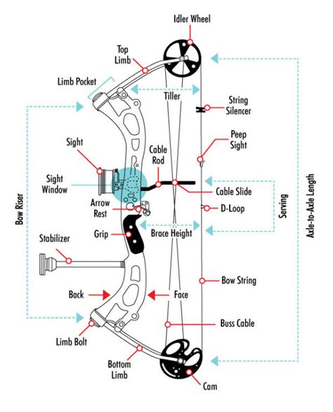 A Basic Guide To The Parts Of A Bow Lancaster Archery Supply