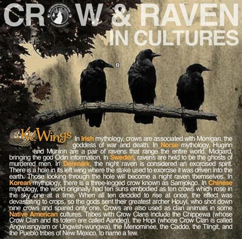 Crow And Raven In Cultures Witches Of The Craft