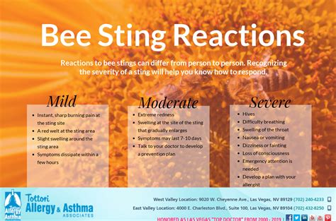 The Many Different Allergic Reactions To Bee Stings Tottori Allergy