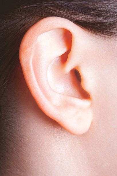 90 Earlobe Human Ear Side View Listening Stock Photos Pictures
