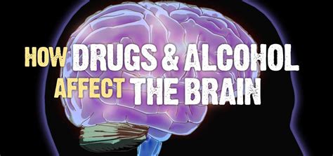 How Drugs And Alcohol Affect The Brain Impulse Control And Emotion