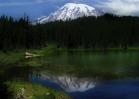 Visit Mount Rainier National Park The Usa Audley Travel