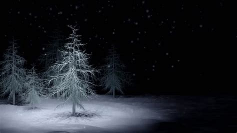 Snow Falling On Forest At Night Snow Falls On A Royalty