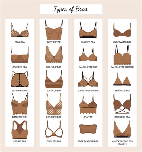 Types Of Bras Big Vector Collection Of Lingerie Set Of Underwear Balconette Strapless