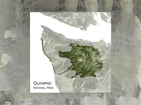 Olympic National Park Topographic Map Art Print Olympic Mountains Wall