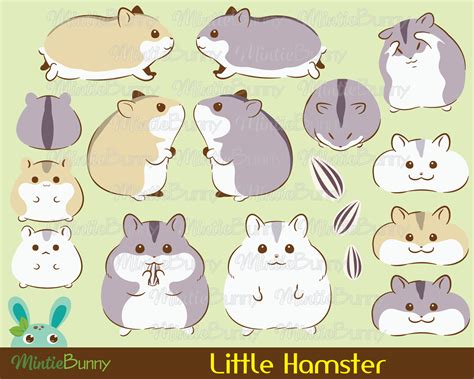 Hamster Clipart Animal Clipart Cute Clipart Hamtaro Etsy