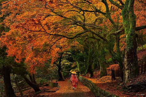 Autumn Fantasy Wallpapers Wallpaper Cave