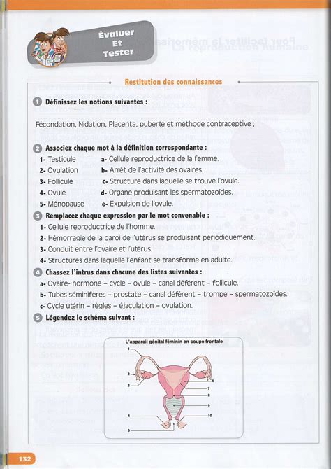 Svt 4ème Reproduction Humaine Evaluation