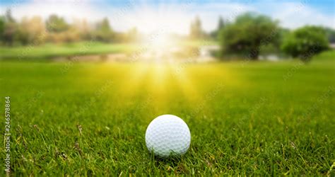 Golf Ball On Green Grass On Blurred Beautiful Landscape Of Golf Course