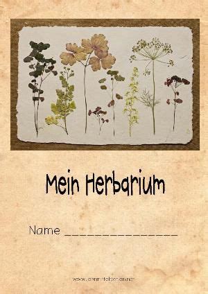 Zuerst müsst ihr raus in die natur und eure. herbarium botanical deckblatt schule blumen skizzen und ...