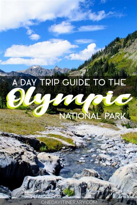 One Day In Olympic National Park 2020 Guide National Parks Day
