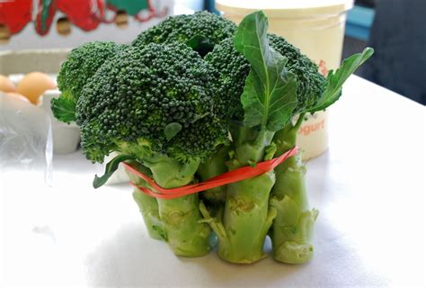 Mar 28, 2013 · pour egg mixture over vegetables. Broccoli is a delicious vegetable for your Thanksgiving ...