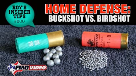 12 Gauge 00 Buckshot Wound Buckshot Overkill For The Home Defense