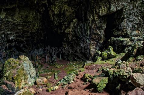 Cave With Moss And Lichen Covered Rocks Stock Image Image Of