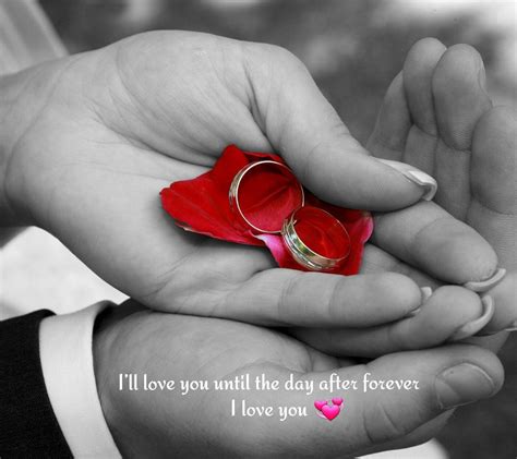 Love Forever Images Hd Download Animaltree