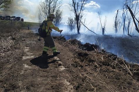 Reporte Oficial Por Los Incendios En Argentina No Hay Focos Activos
