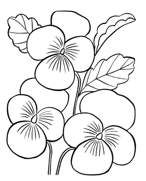 Gambar batik hitam putih untuk diwarnai kumpulan gambar menarik. Mewarnai Gambar Bunga Cantik | Bunga pansy, Lukisan bunga