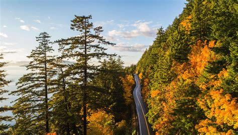 Best Places To See Fall Foliage In Washington Aaa Washington