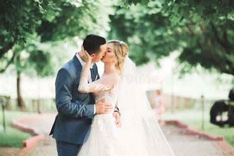Romantic Wedding Moment Couple Of Newlyweds Smiling Portrait Bride And Groom Hugging Stock