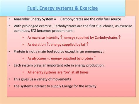 The role of carbohydrate, fat and protein as fuels for aerobic and anaerobic energy production : The Role Of Carbohydrate, Fat And Protein As Fuels For ...