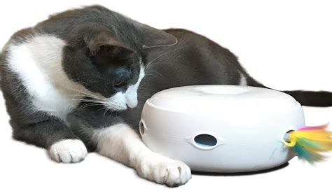 Nighttime Light Interactive Cat Toys With Electronic Rotating Feather